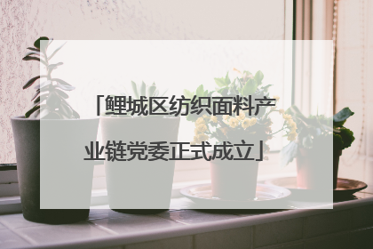 鲤城区纺织面料产业链党委正式成立