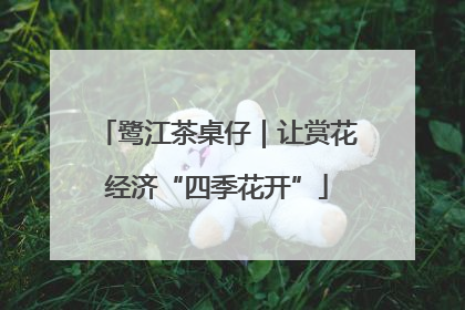 鹭江茶桌仔｜让赏花经济“四季花开”