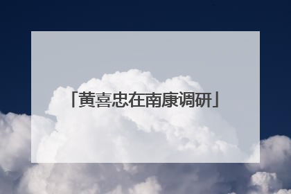 黄喜忠在南康调研