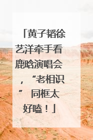 黄子韬徐艺洋牵手看鹿晗演唱会，“老相识” 同框太好嗑！