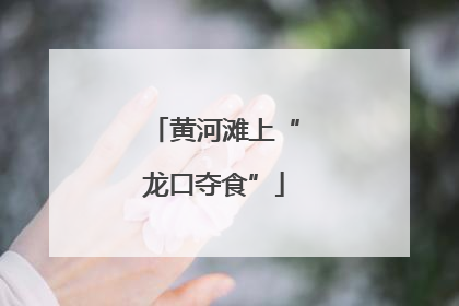 黄河滩上“龙口夺食”
