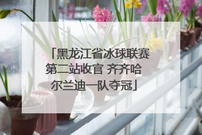 黑龙江省冰球联赛第二站收官 齐齐哈尔兰迪一队夺冠