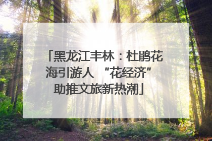 黑龙江丰林：杜鹃花海引游人 “花经济”助推文旅新热潮