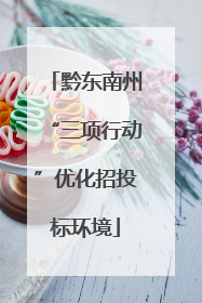 黔东南州“三项行动”优化招投标环境