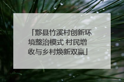 黟县竹溪村创新环境整治模式 村民增收与乡村焕新双赢