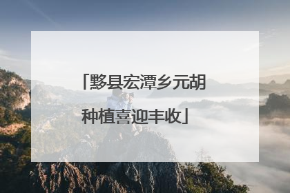 黟县宏潭乡元胡种植喜迎丰收