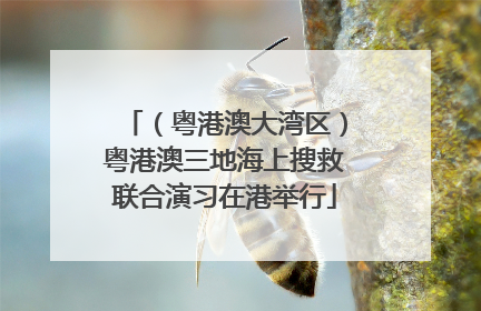 （粤港澳大湾区）粤港澳三地海上搜救联合演习在港举行