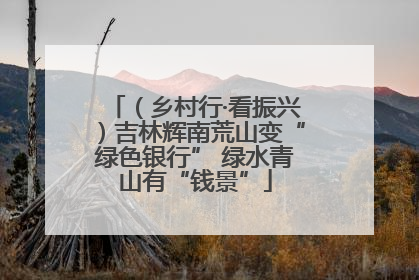 （乡村行·看振兴）吉林辉南荒山变“绿色银行” 绿水青山有“钱景”