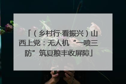 （乡村行·看振兴）山西上党：无人机“一喷三防”筑夏粮丰收屏障