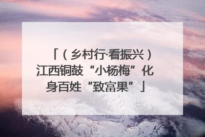 （乡村行·看振兴）江西铜鼓“小杨梅”化身百姓“致富果”