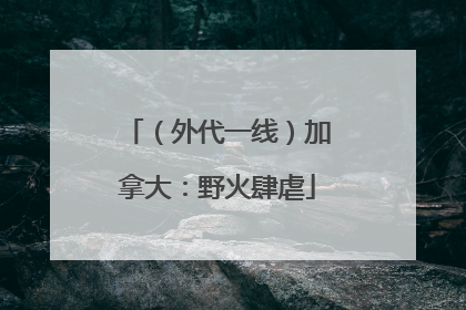 （外代一线）加拿大：野火肆虐
