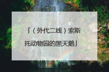 （外代二线）索斯托动物园的黑天鹅