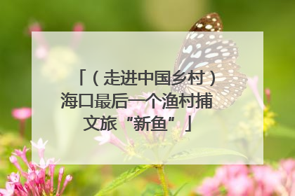 （走进中国乡村）海口最后一个渔村捕文旅“新鱼”