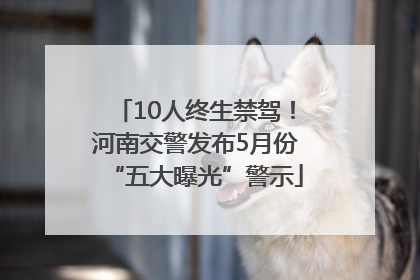 10人终生禁驾！河南交警发布5月份“五大曝光”警示