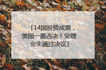 14国投赞成票，美国一票否决！安理会未通过决议