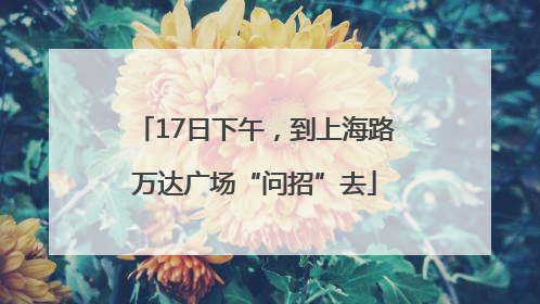 17日下午，到上海路万达广场“问招”去