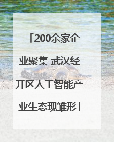 200余家企业聚集 武汉经开区人工智能产业生态现雏形