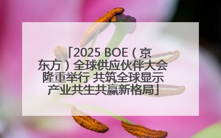 2025 BOE（京东方）全球供应伙伴大会隆重举行 共筑全球显示产业共生共赢新格局