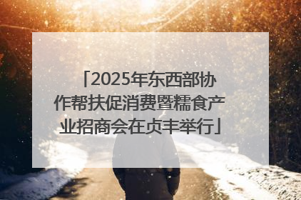 2025年东西部协作帮扶促消费暨糯食产业招商会在贞丰举行