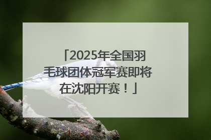 2025年全国羽毛球团体冠军赛即将在沈阳开赛！