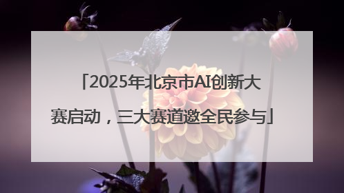 2025年北京市AI创新大赛启动，三大赛道邀全民参与