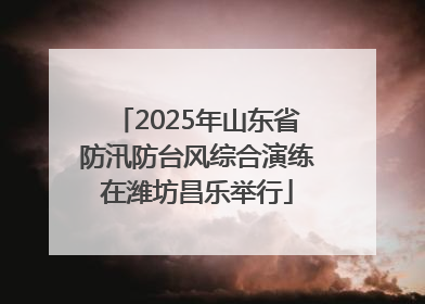 2025年山东省防汛防台风综合演练在潍坊昌乐举行