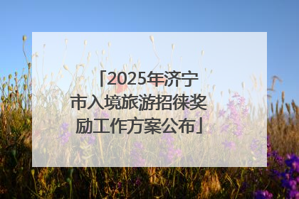 2025年济宁市入境旅游招徕奖励工作方案公布