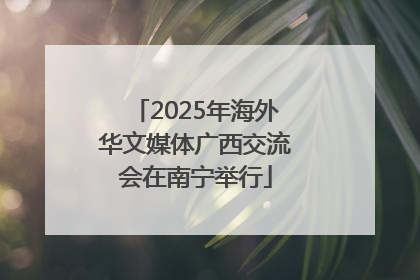 2025年海外华文媒体广西交流会在南宁举行