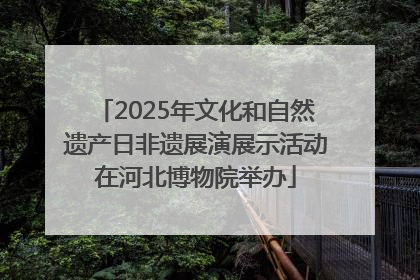 2025年文化和自然遗产日非遗展演展示活动在河北博物院举办