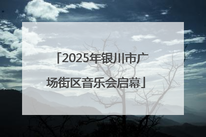 2025年银川市广场街区音乐会启幕