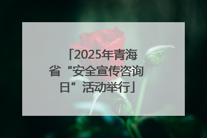 2025年青海省“安全宣传咨询日”活动举行
