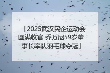 2025武汉民企运动会圆满收官 乔万尼59岁董事长率队羽毛球夺冠