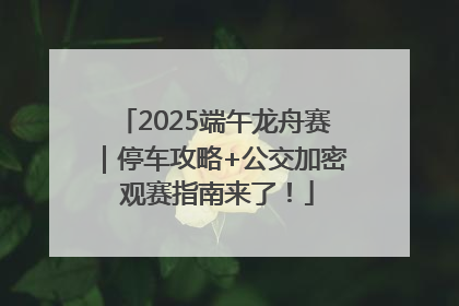 2025端午龙舟赛｜停车攻略+公交加密 观赛指南来了！
