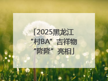 2025黑龙江“村BA”吉祥物“隆隆”亮相
