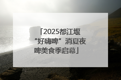 2025都江堰“好嗨啤”消夏夜啤美食季启幕