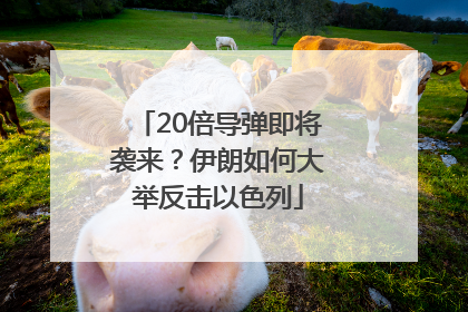 20倍导弹即将袭来？伊朗如何大举反击以色列