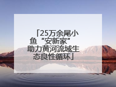 25万余尾小鱼“安新家” 助力黄河流域生态良性循环