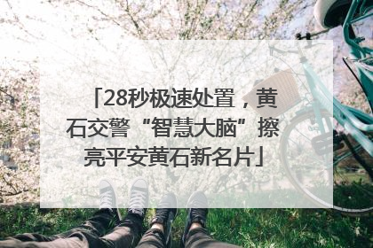 28秒极速处置，黄石交警“智慧大脑”擦亮平安黄石新名片