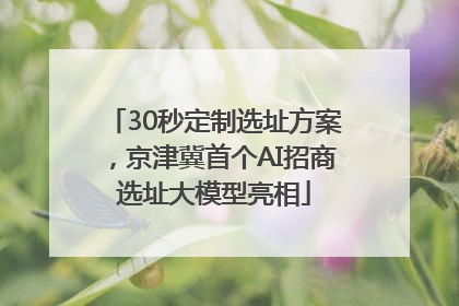 30秒定制选址方案，京津冀首个AI招商选址大模型亮相
