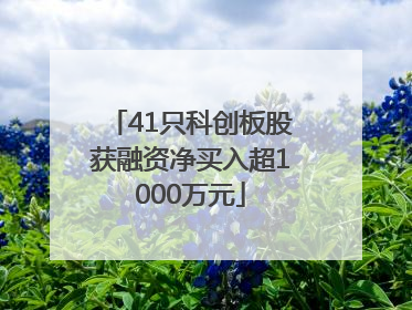 41只科创板股获融资净买入超1000万元