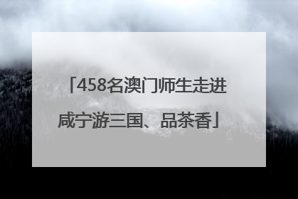 458名澳门师生走进咸宁游三国、品茶香