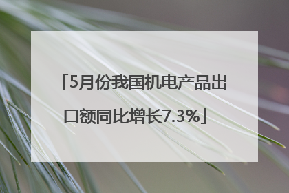 5月份我国机电产品出口额同比增长7.3%