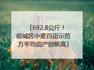692.8公斤！宿城区小麦百亩示范方平均亩产创新高