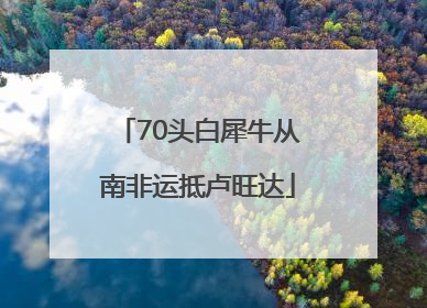 70头白犀牛从南非运抵卢旺达
