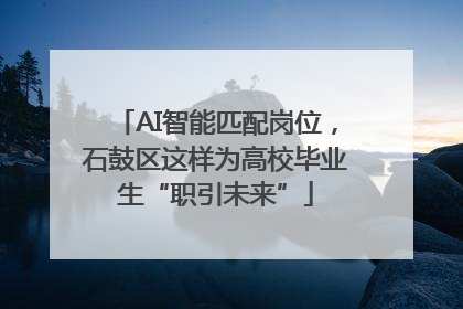 AI智能匹配岗位，石鼓区这样为高校毕业生“职引未来”