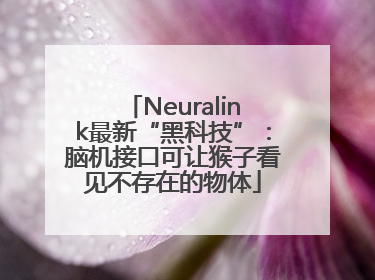 Neuralink最新“黑科技”：脑机接口可让猴子看见不存在的物体