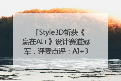 Style3D斩获《赢在AI+》设计赛道冠军，评委点评：AI+3D技术世界第一